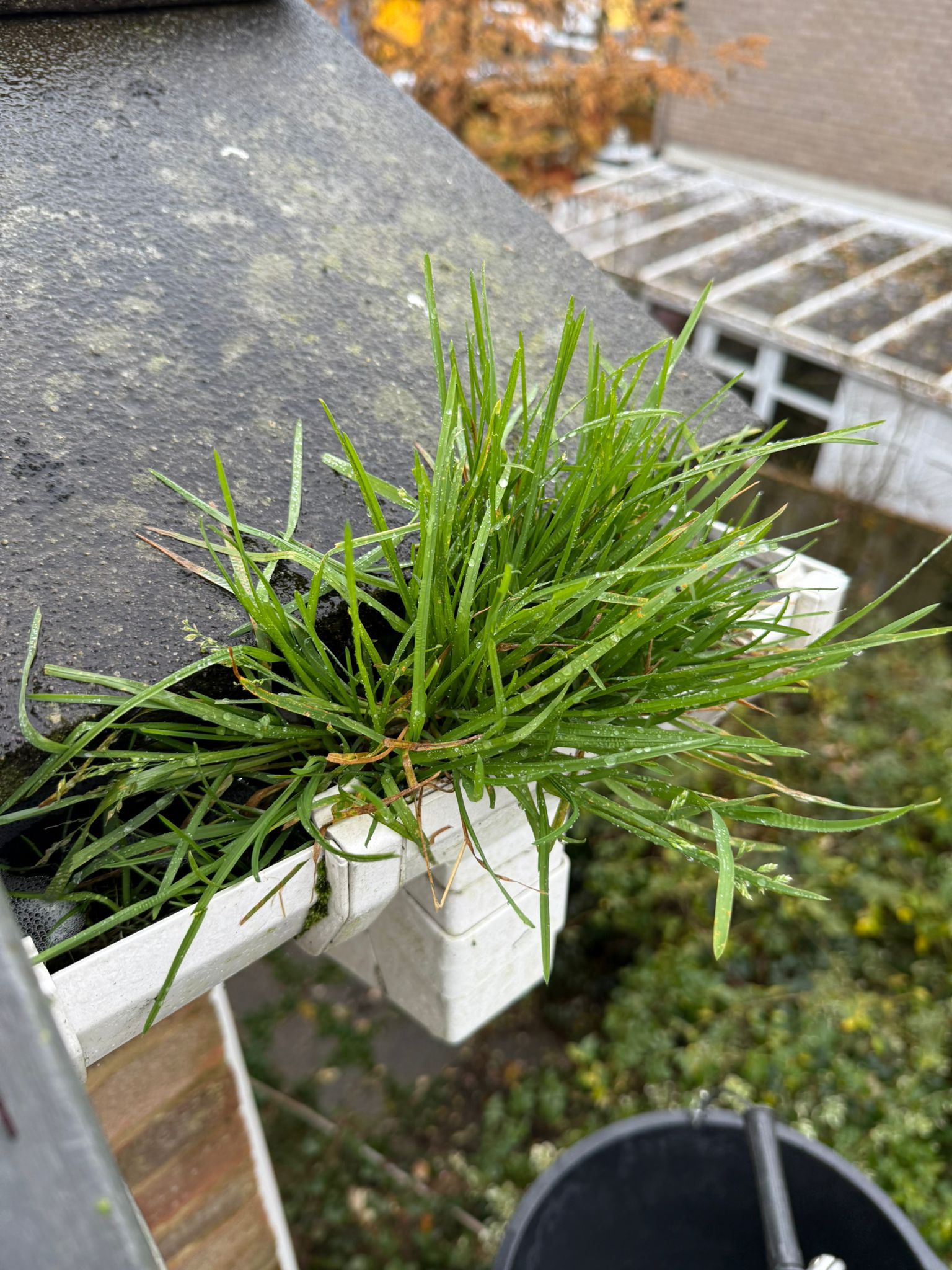 Blocked gutter downpipe in Virginia Water